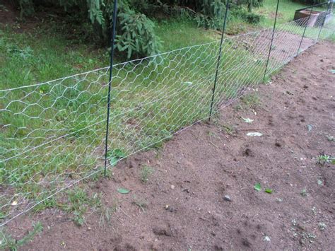 Perfect for <b>fencing</b> in free-range chickens and animal confinement applications such as <b>chicken</b> coops. . How to install chicken wire fence for garden